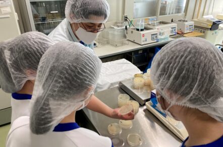 バイホロンSDGs｢地域・社会｣